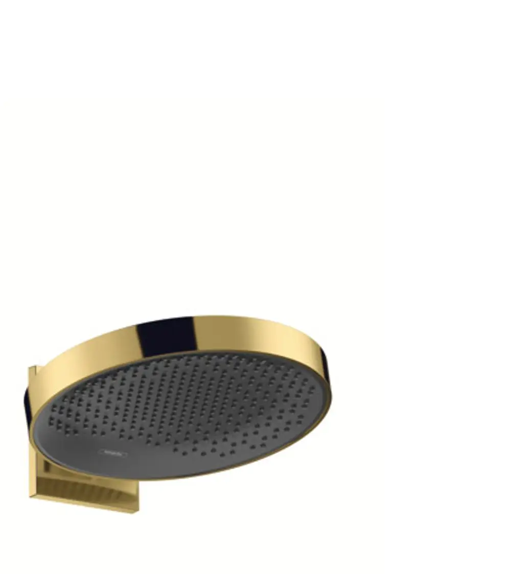 Hansgrohe Kopfbrause mit Wandanschluss in goldglänzender Optik. Runde Form mit gleichmäßig angeordneten Düsen für Wasserstrahl.